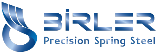 BÇT ÇELİK MERKEZİ DEPO ANTREPO HİZ. VE DIŞ TİC. LTD. ŞTİ.